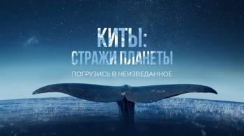 Постер Киты: Стражи планеты