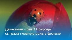 Постер Меня приводит в движение свет