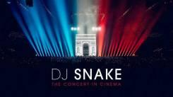 Постер DJ SNAKE: Париж 2020. Концерт в кино