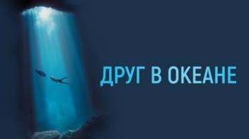 Постер Друг в океане