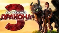 Постер Как приручить дракона 3