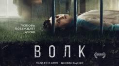Постер Волк