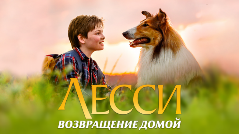 Лесси. Возвращение домой, постер, дата выхода, кадры, трейлер Лесси. Возвращение домой, постер, дата выхода, кадры, трейлер